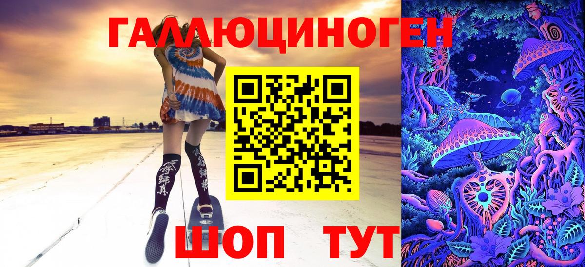 Галлюциногенные грибы Psilocybine cubensis Муром