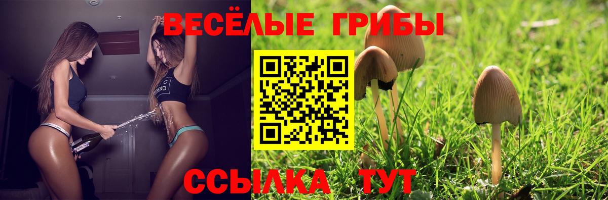 где купить   Вход с VPN  Муром  Псилоцибиновые грибы Cubensis 